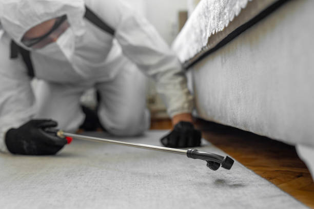 Professional Pest Control technician working in Gallatin County County, MT